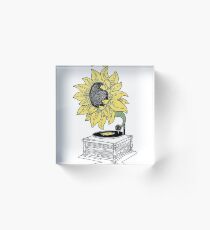 Singing in the sun Acrylic Block