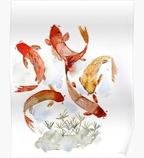 Coi pond Poster