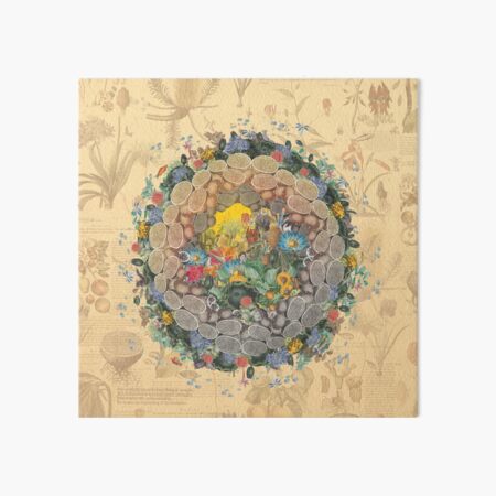 Botanic Globe Art Board Print