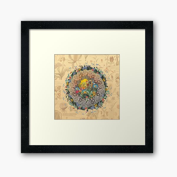Botanic Globe Framed Art Print