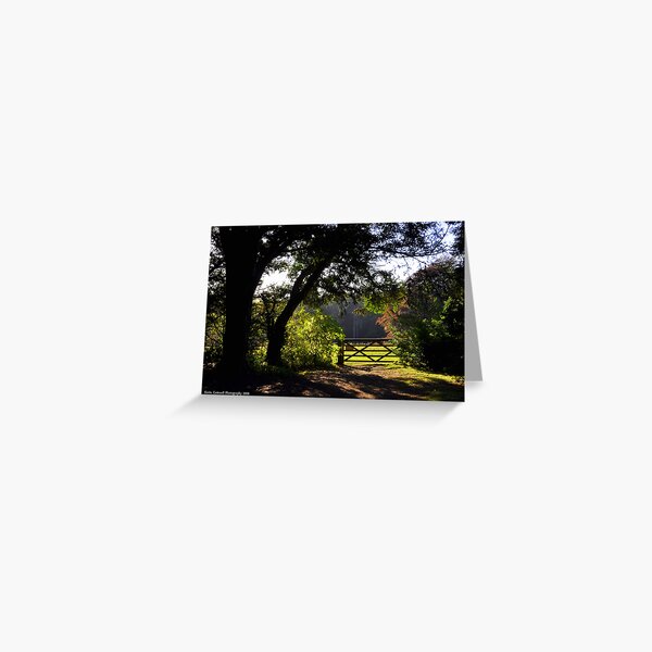 Sunlight Woods Greeting Card