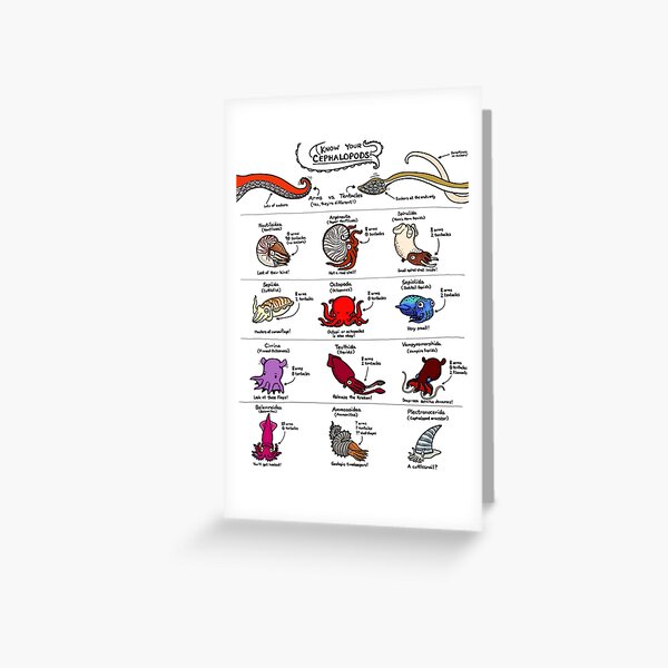 Item preview, Know Your Cephalopods! designed and sold by KetrinaDrawsALot.
