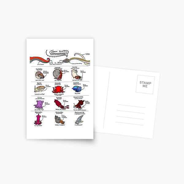 Know Your Cephalopods! Postcard