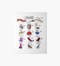 Know Your Cephalopods! Art Board