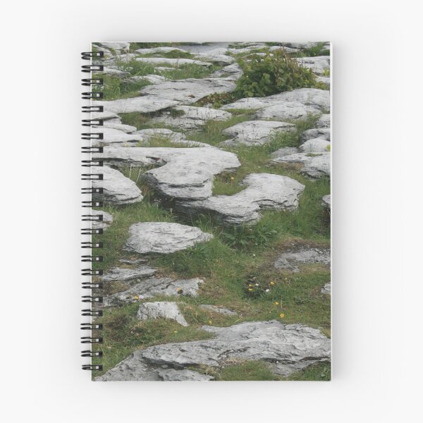 Item preview, Ireland: Stony Grey Soil designed and sold by shoelock.