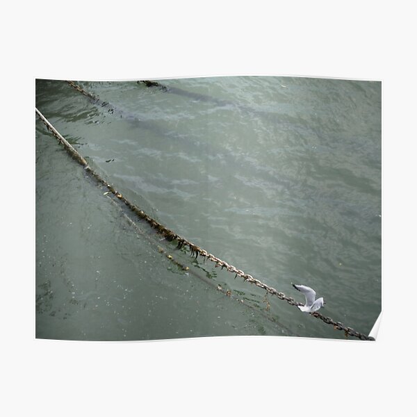 Mooring (1) Poster