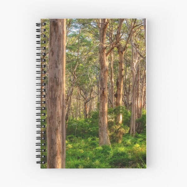 Item preview, Forest Twilight, Boranup Forest designed and sold by Dave Catley.