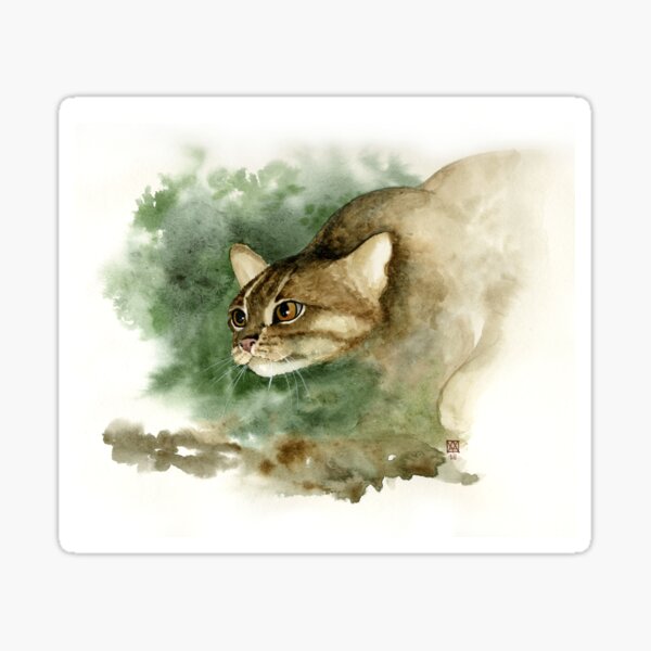 Rusty spotted cat - Petit chat tacheté Sticker