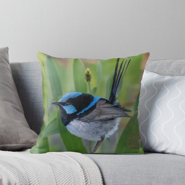 Item preview, Superb Fairywren designed and sold by Roger  Mackertich.