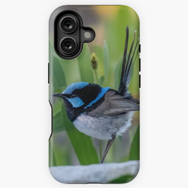 Item preview, Superb Fairywren designed and sold by Roger  Mackertich.
