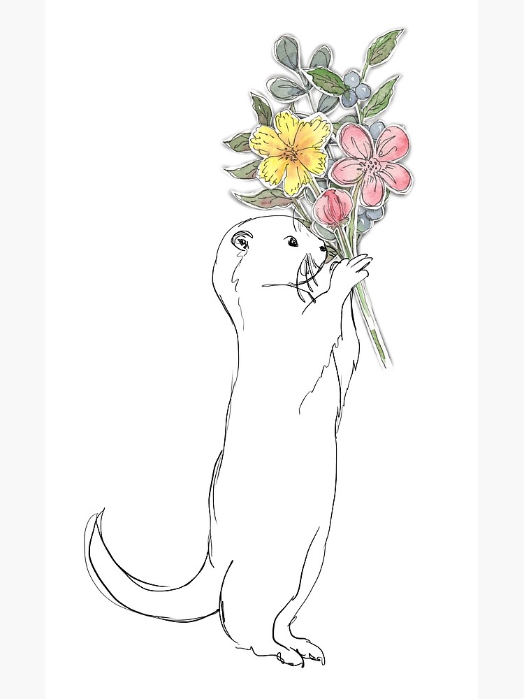 gift from an otter postcard by theodorag redbubble redbubble
