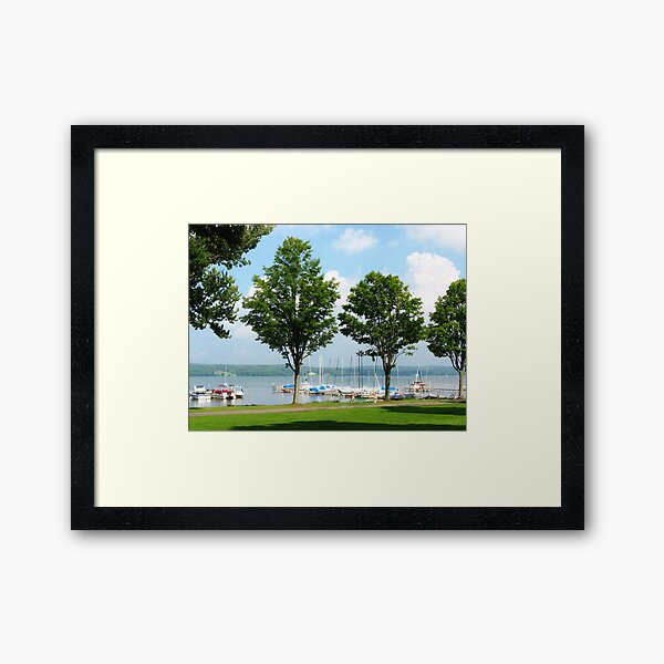 View From The Athenaeum Hotel ~ Chautauqua Framed Art Print