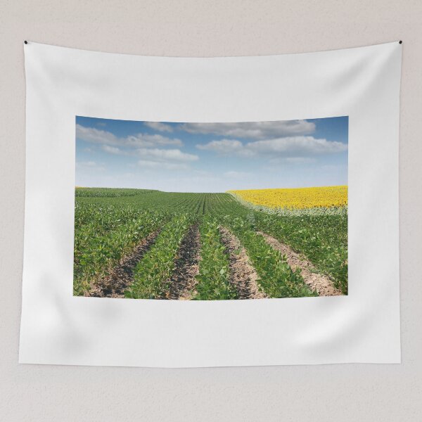Item preview, soybean and sunflower field summer season designed and sold by goceris.