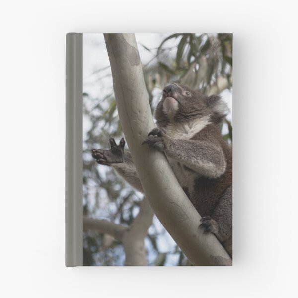 Item preview, Koala - Moving On Up designed and sold by imaginethis.