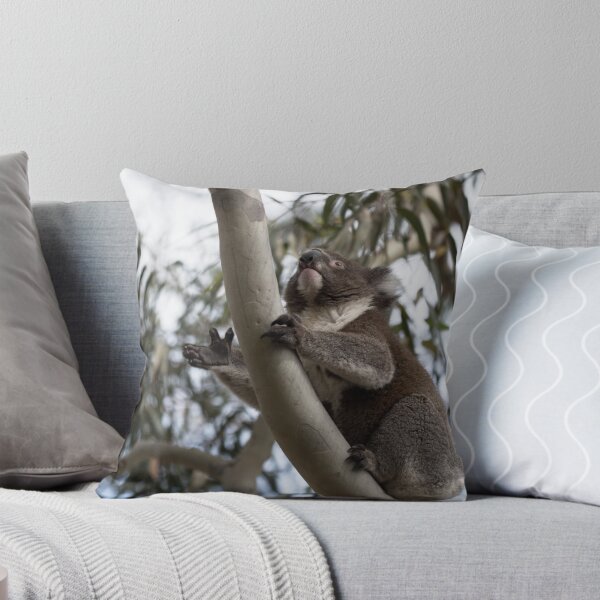 Item preview, Koala - Moving On Up designed and sold by imaginethis.