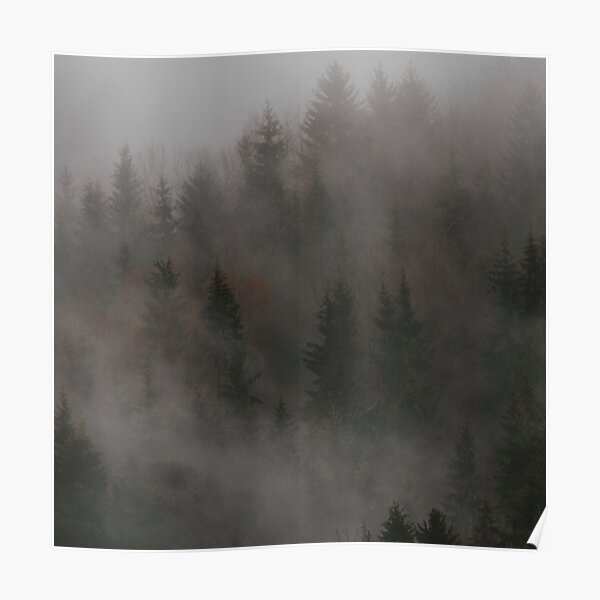 Mystic Wood Poster