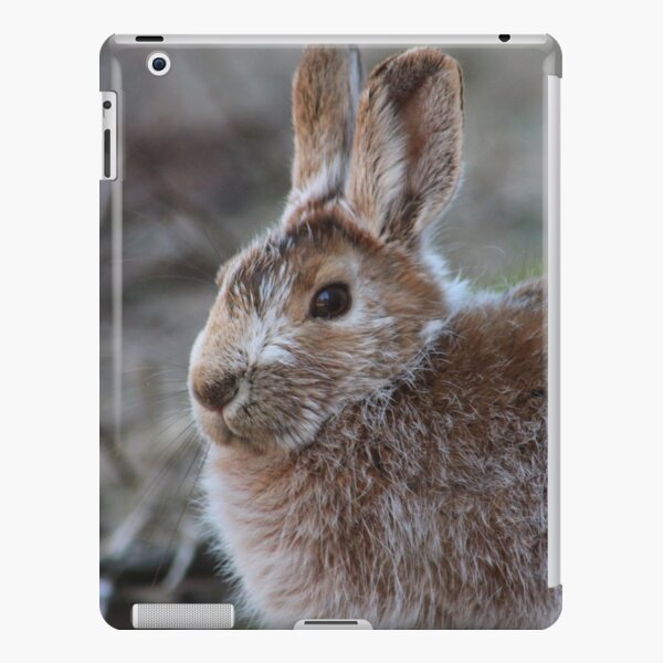 Hare iPad Snap Case