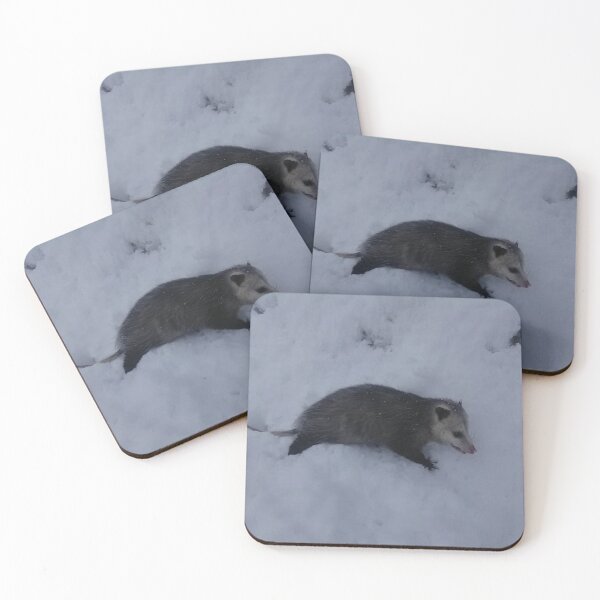 Artikelvorschau, Opossum auf freiem Fuß entworfen und verkauft von BellsPainting.