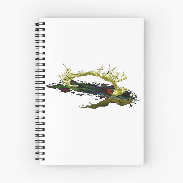 Item preview, Brain Imaging: DTI, white background designed and sold by psychometrics.