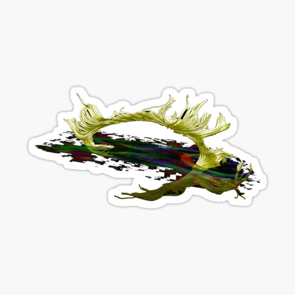 Brain Imaging: DTI, white background Sticker