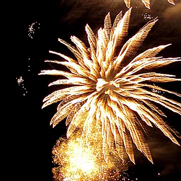 Artwork thumbnail, Firework Gold by ART22