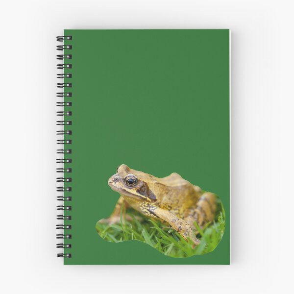 Item preview, Common frog sitting on the lawn designed and sold by Dalyndigital Photography.