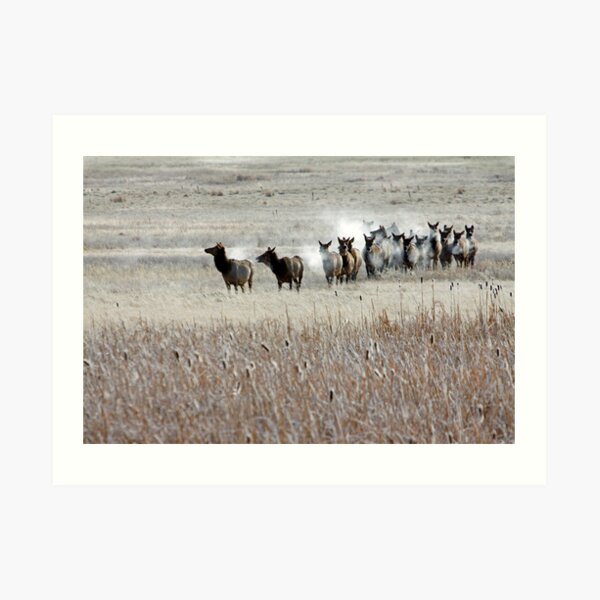 High Alert Art Print