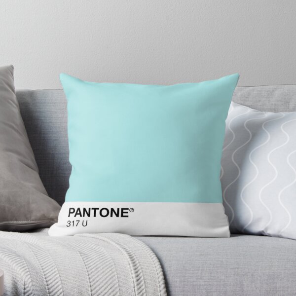 Pantone Cojín