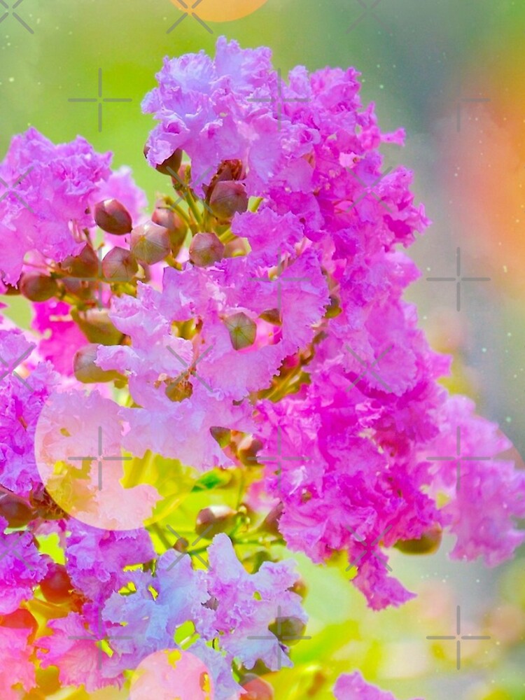 "Serenity Prayer II" iPhone Case for Sale by AlsknMommaBear2 Redbubble