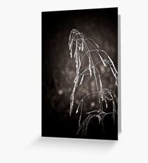 Lazy Greeting Card