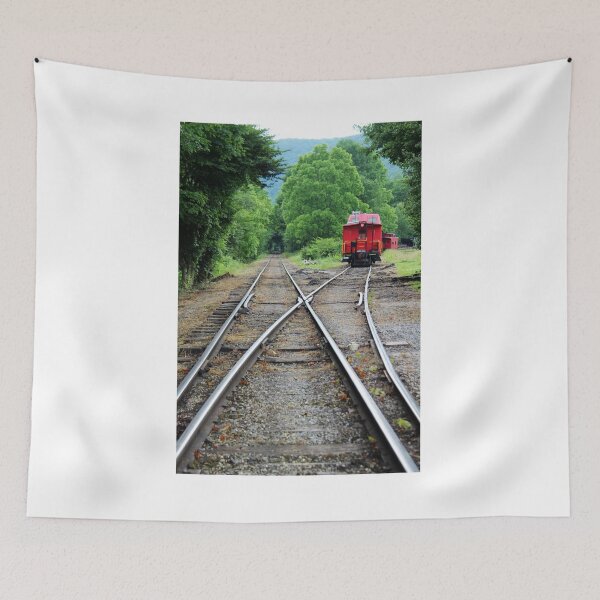 Item preview, Tracks at the Durbin Scenic Railway, Durbin West Virginia designed and sold by searchlight.