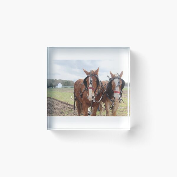 Item preview, Plow Days - Mount Hermon, Maryland designed and sold by searchlight.