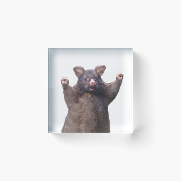 Item preview, wahoo rat - positive possum meme designed and sold by CleverJane.