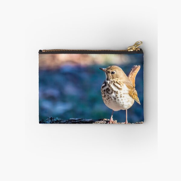 Item preview, Hermit Thrush In Winter designed and sold by ElizabethiB.