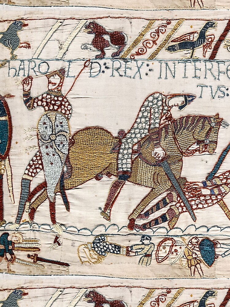 Bayeux Tapestry. King Harold is killed. Arrow in eye. by TOMSREDBUBBLE