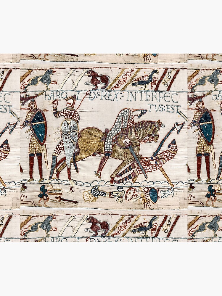 Bayeux Tapestry. King Harold is killed. Arrow in eye. by TOMSREDBUBBLE