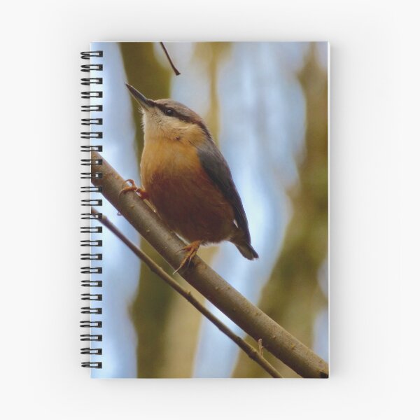 Item preview, Nuthatch designed and sold by Louisamhocking.