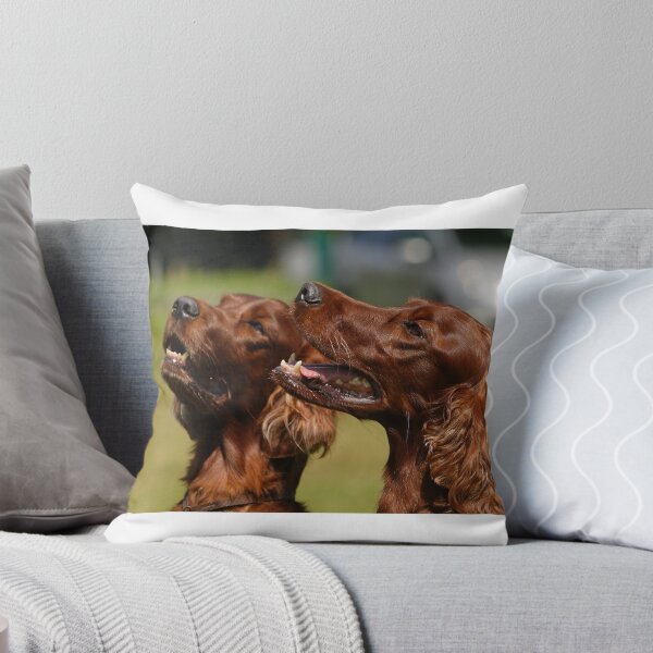 Item preview, Red Setters designed and sold by Ruffdog64.