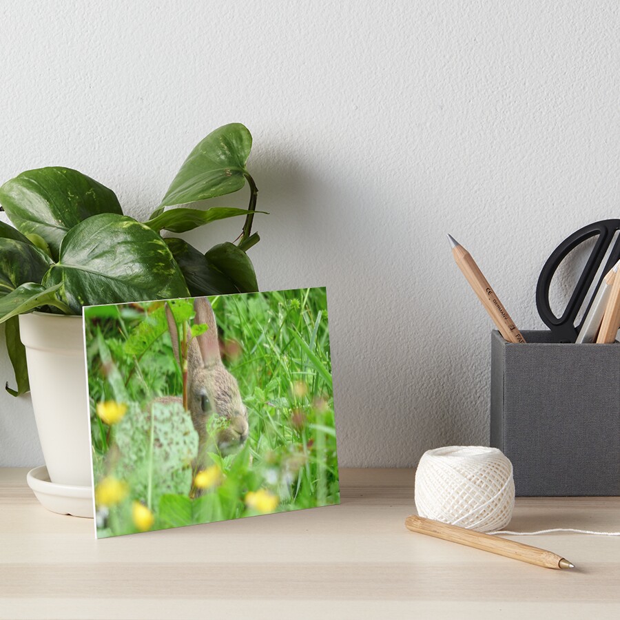 Item preview, Art Board Print designed and sold by Louisamhocking.