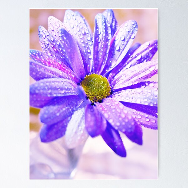 Item preview, Nella Fantasia designed and sold by Angela  Ardis.