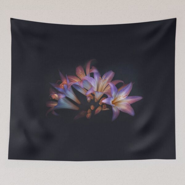 Item preview, Belladonna designed and sold by 275photography.
