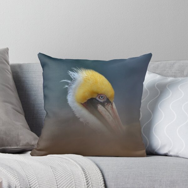 Item preview.