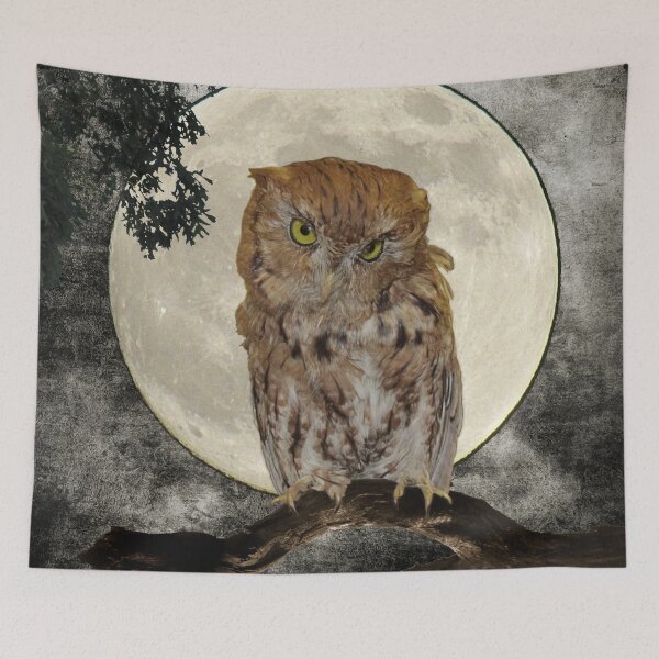 Item preview, Adorable Eastern Screech Owl Moon Bird A272 designed and sold by byNicol.