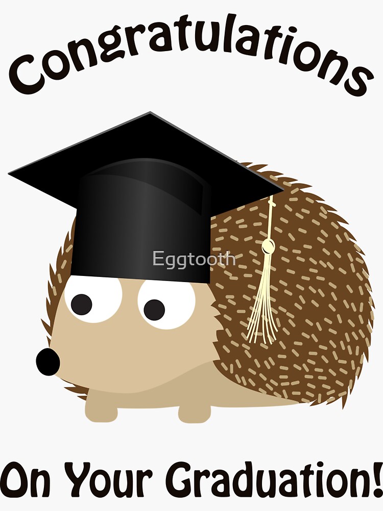 graduation hedgehog plush