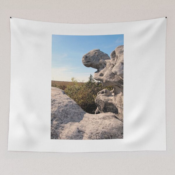 Artikelvorschau, Rock Formation, Dolly Sods, West Virginia entworfen und verkauft von searchlight.
