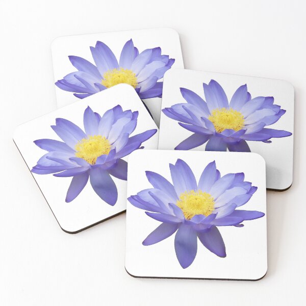 Item preview, Purple Water Lily designed and sold by killies.