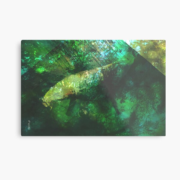 rainforest waters Metal Print
