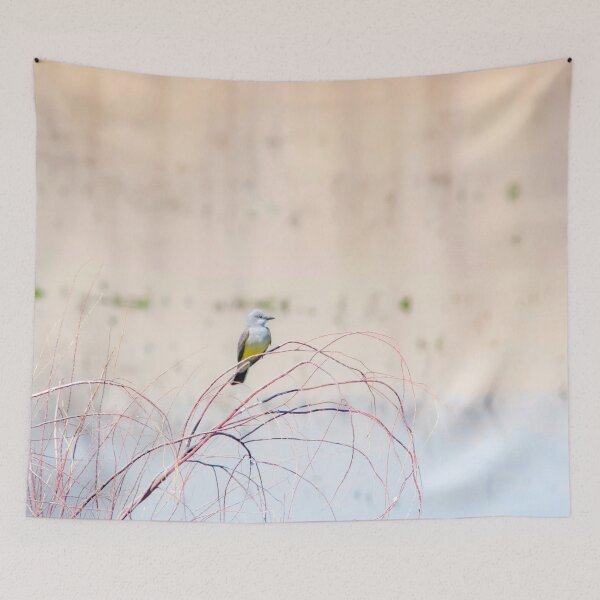 Item preview, "Pretty Kingbird" Bird Art by Murray Bolesta designed and sold by Murray Bolesta Fine Art Prints.