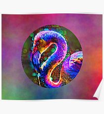Cosmic Flamingo Poster
