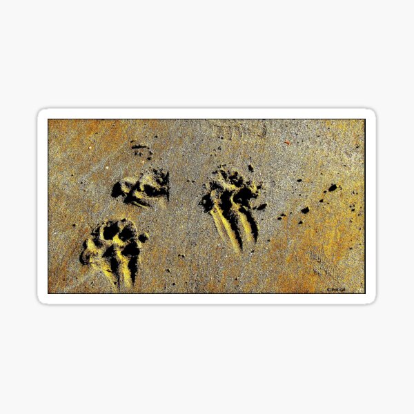 Bad Bunny Midcentury Modern Art Print – Sandgrain Studio